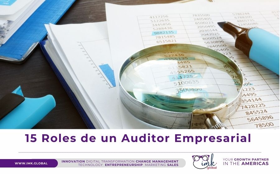 15 Roles de un Auditor Empresarial
